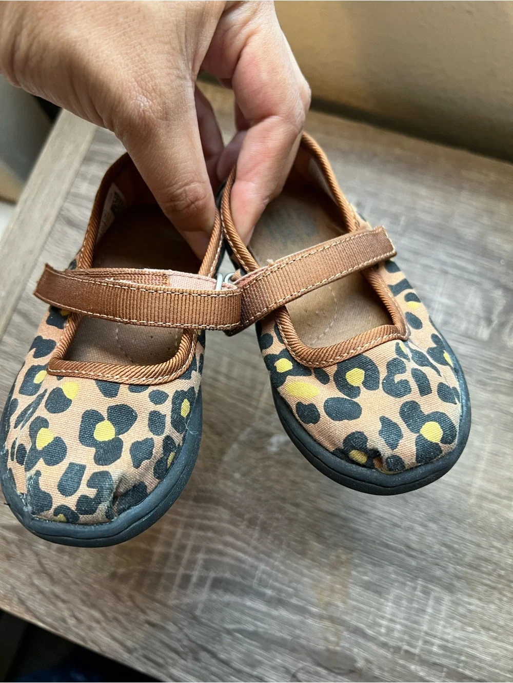 Toddler Leopard Tom’s Flats 6c
